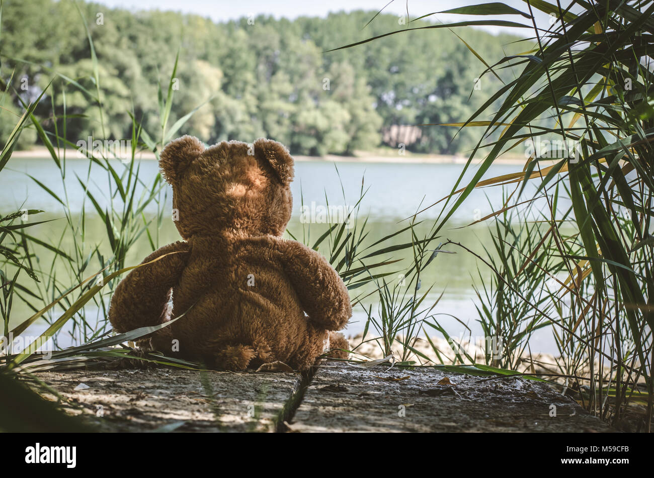 teddy bear toy sitting back to the camera alone at the lakeside Stock ...