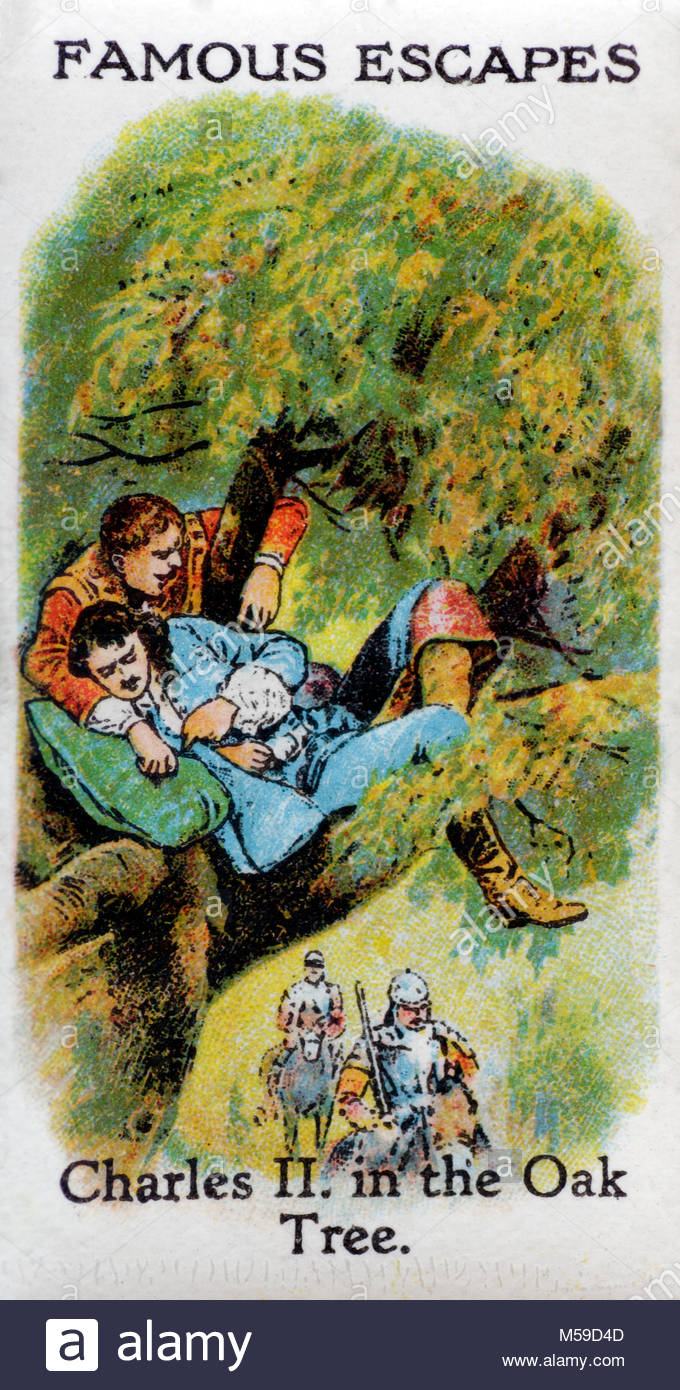 Charles ii boscobel wood hires stock photography and images Alamy