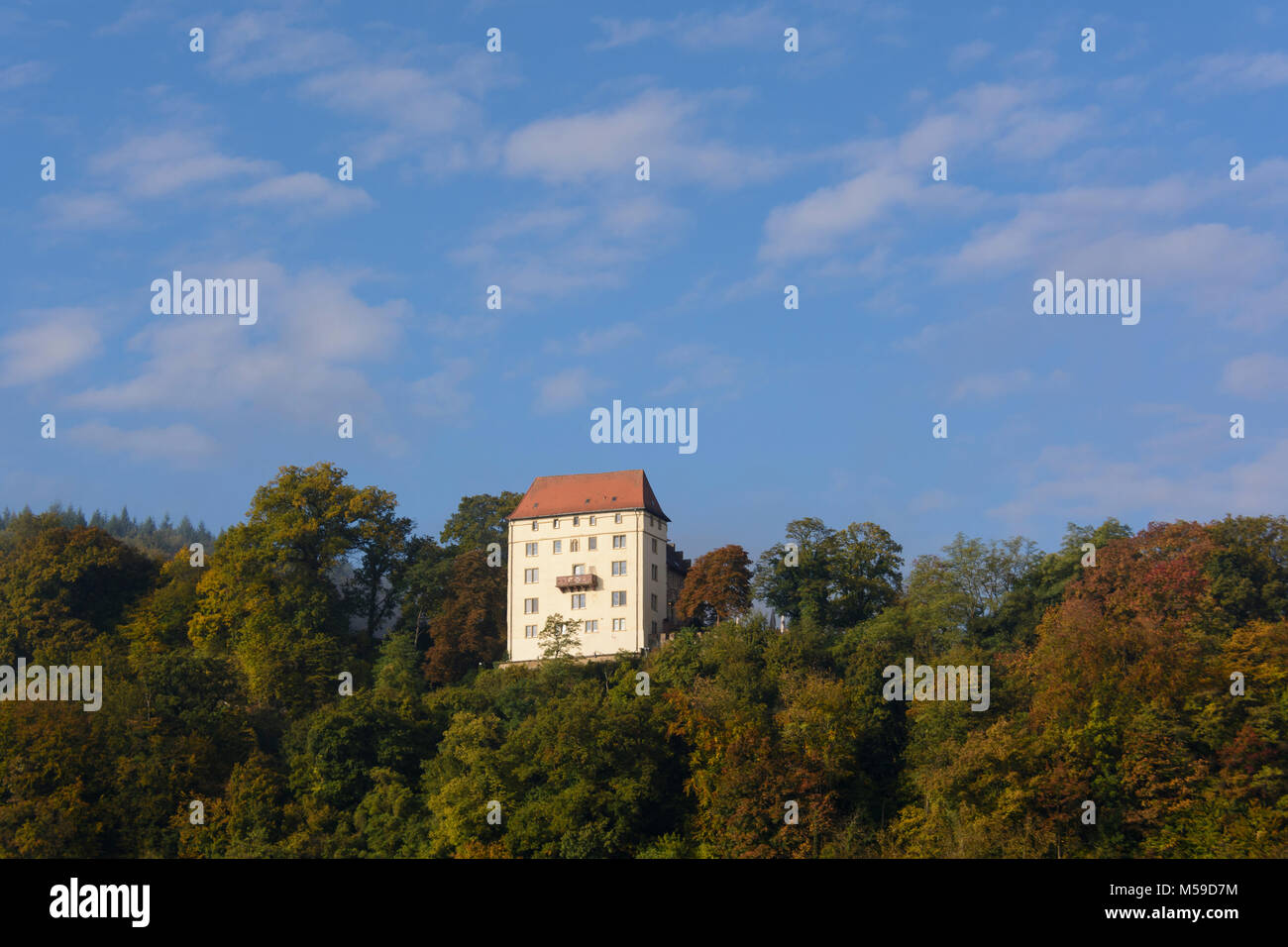 Schloß Neuburg, Obrigheim von Neckarelz-Mosbach gesehen, Baden-Württemberg, Deutschland Stock Photo