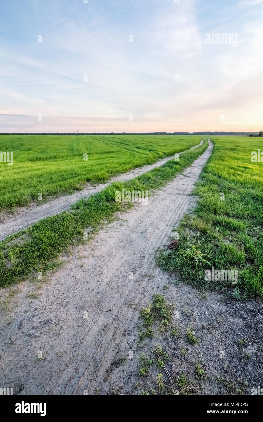 Road in the field with grass goes to the horizon Stock Photo - Alamy