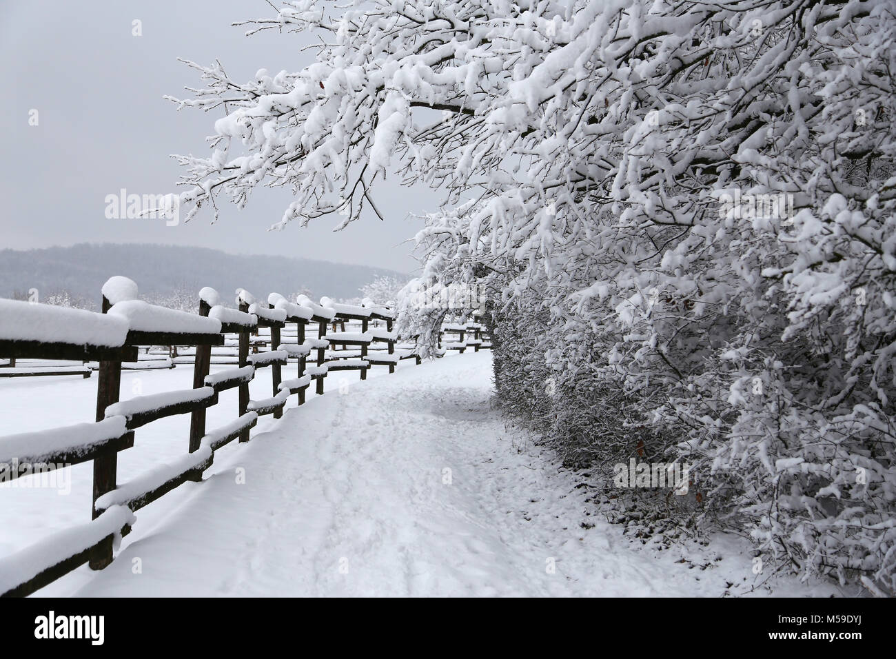 Winter landscape with fresh snow on rural wooden fence at animal farm ...