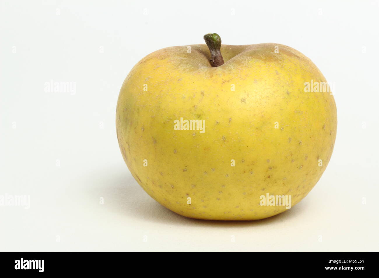 Malus domestica 'Orleans Reinette', an heirloom French apple variety. White background Stock Photo