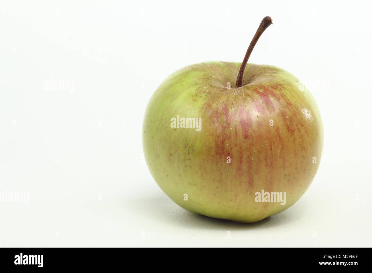 Malus domestica 'Lamb's Seedling', also called 'Langley Pippin', an heirloom English apple variety from Derbyshire, UK., white background. Stock Photo
