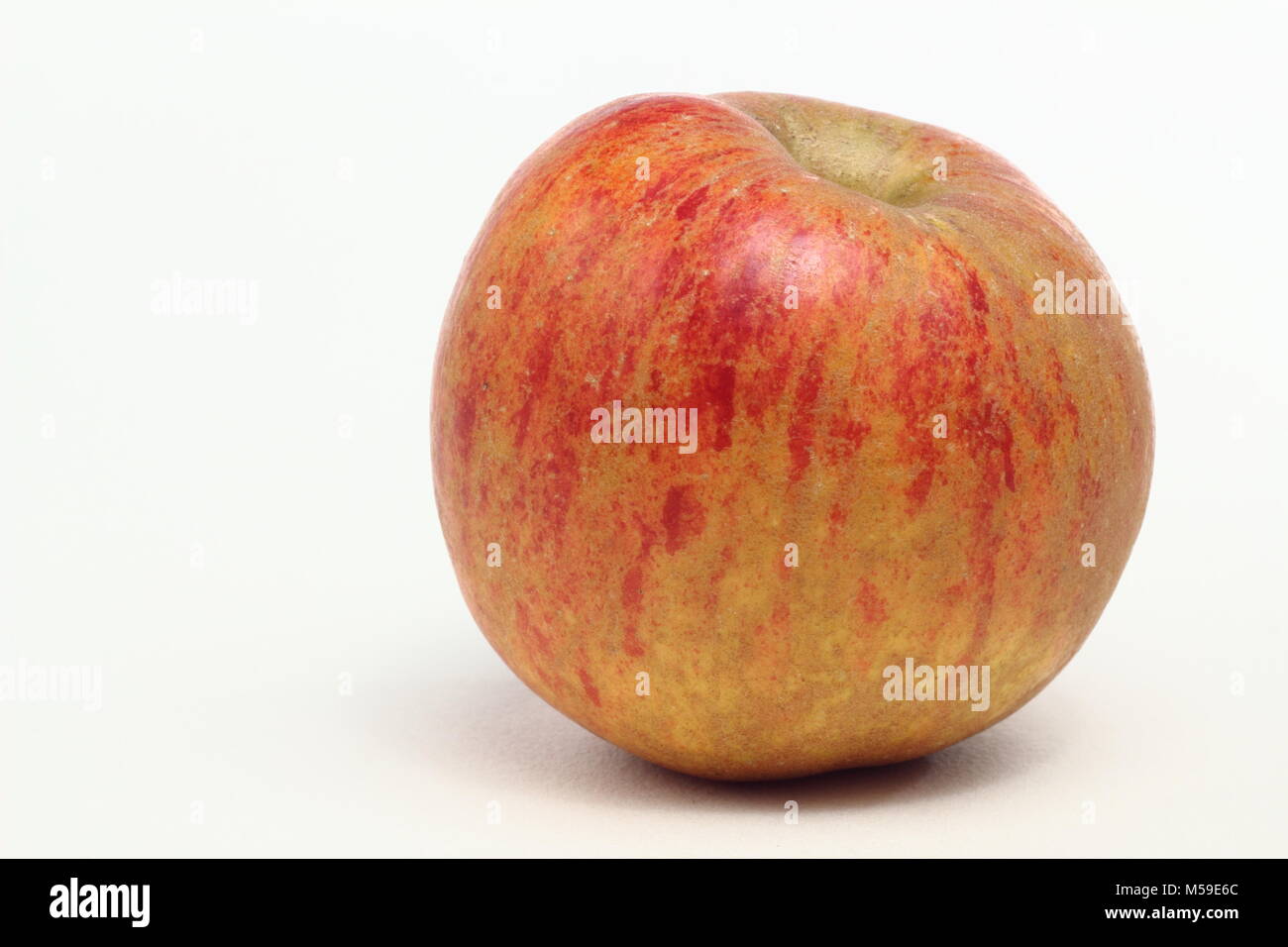 Malus domestica 'Margil', an heirloom English apple variety, white background, UK Stock Photo