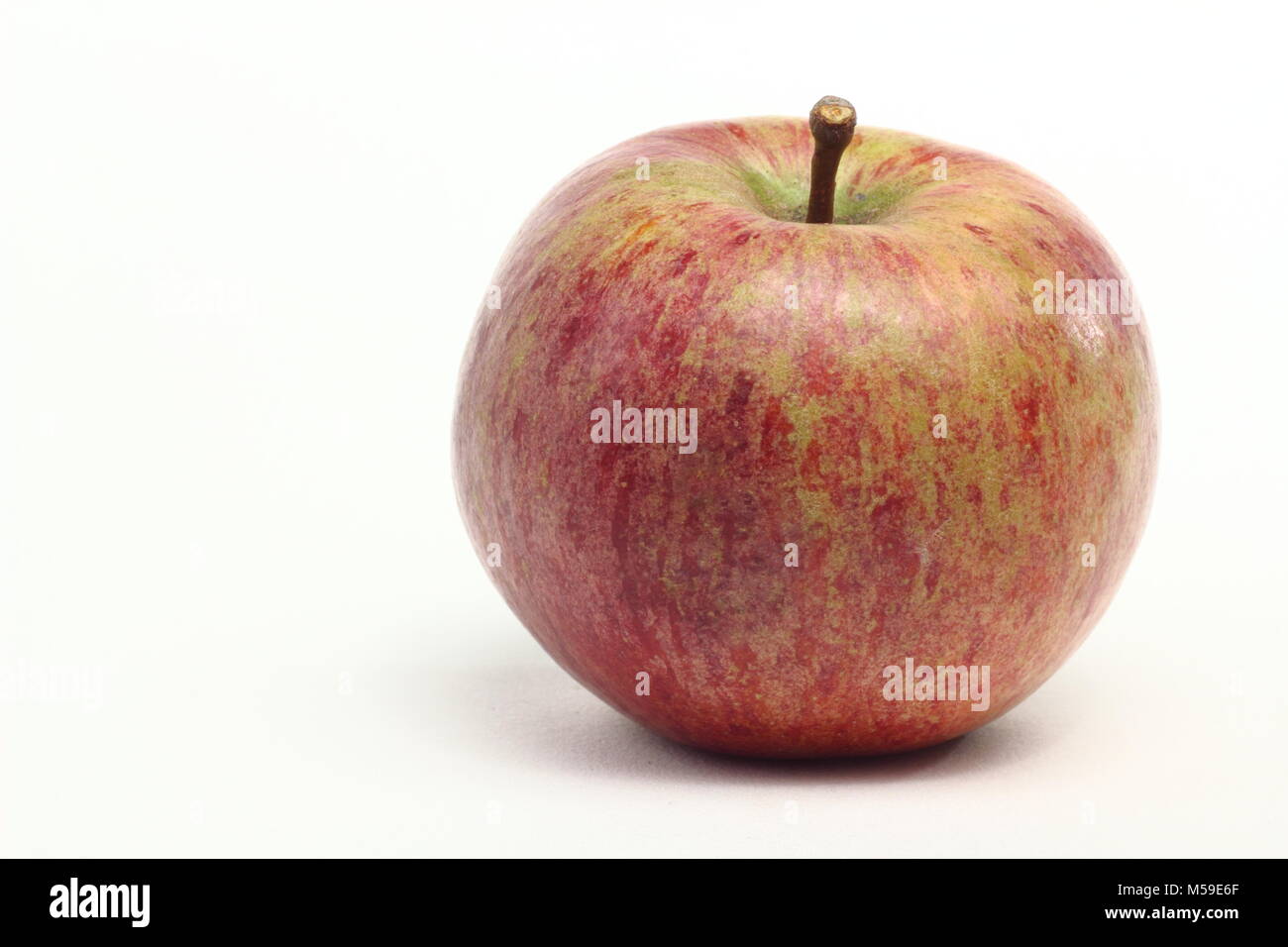 Malus domestica 'Bess Pool', a heritage English apple variety with many synonyms. White background, UK Stock Photo