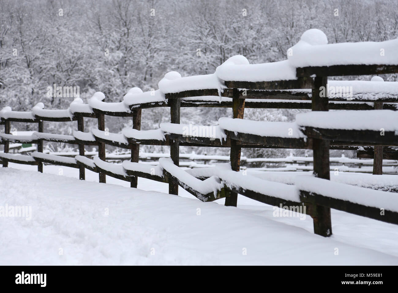 Extreme closeup of snowy corral fence wintertime as a background Stock ...