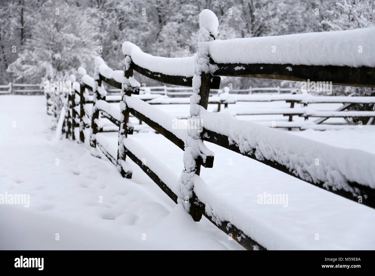Extreme closeup of snowy corral fence wintertime as a backgroun Stock ...