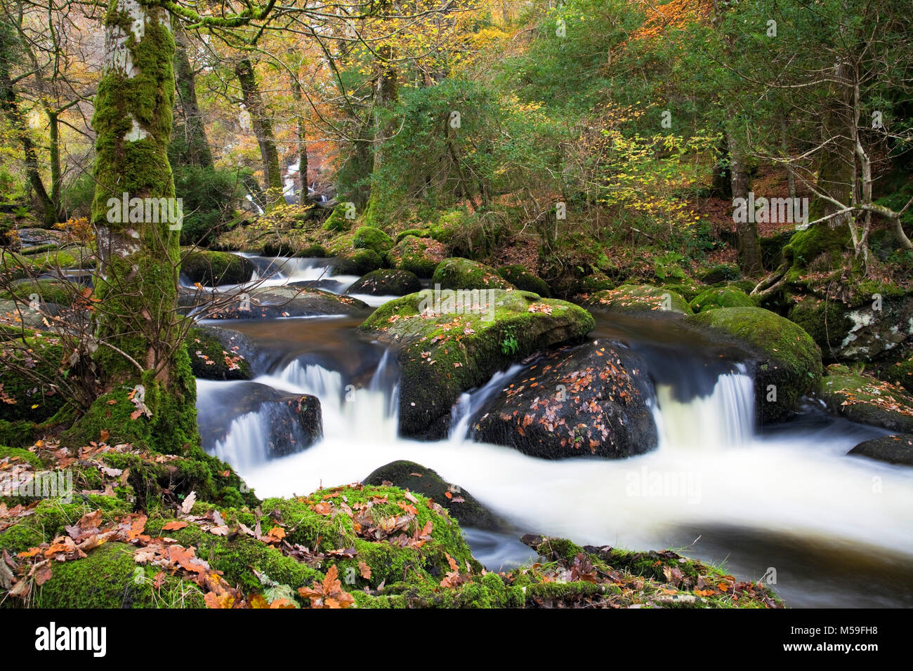 Becka Brook below Becky Falls in autumn Dartmoor Devon Stock Photo