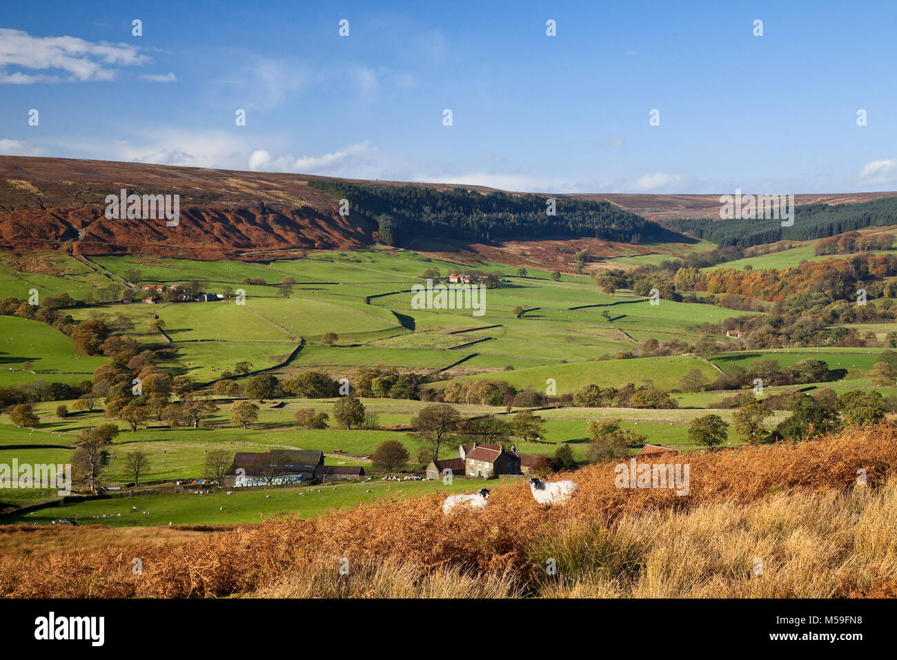 Bransdale in autumn North York Moors Stock Photo