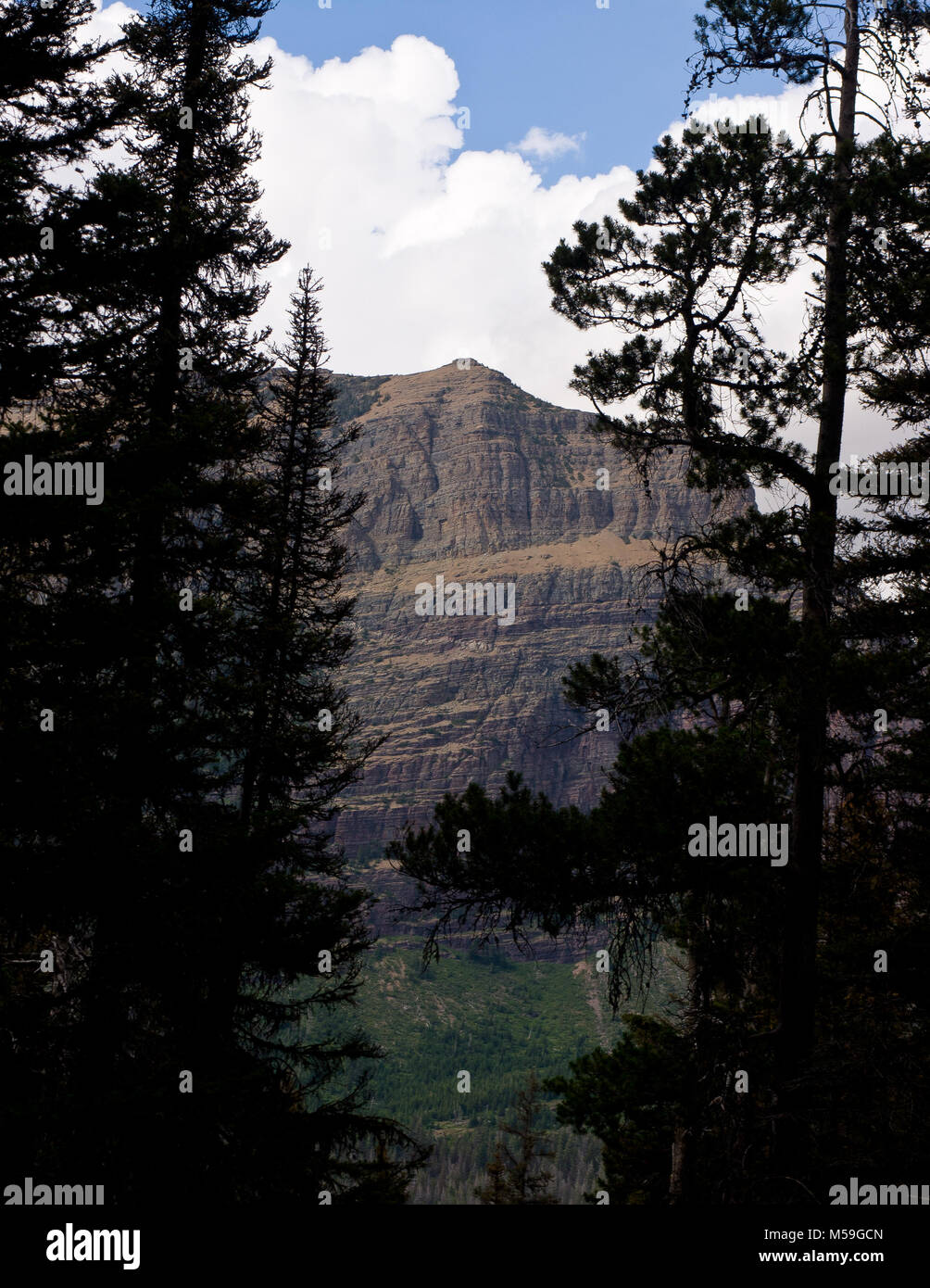 Going to the Sun Mountain from the Virginia Falls trail Stock Photo - Alamy