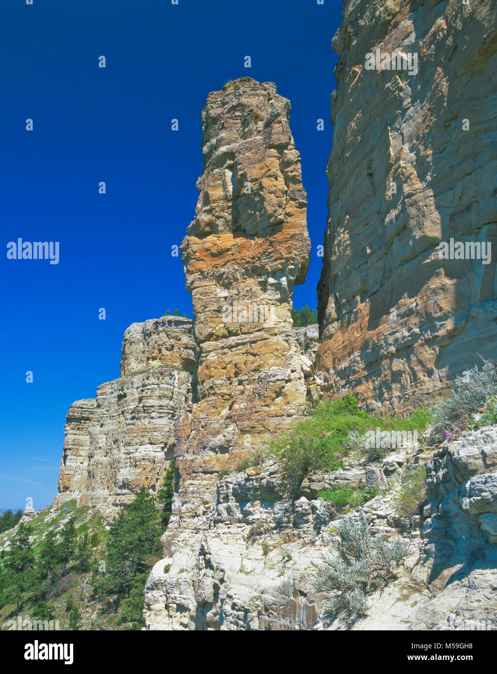 cliffs of chalk buttes in custer national forest near ekalaka, montana Stock Photo