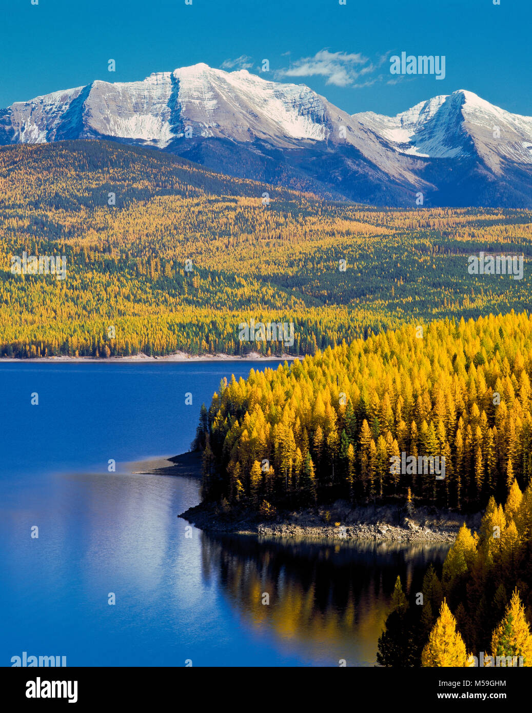 hungry horse reservoir below golden larch and peaks of the flathead