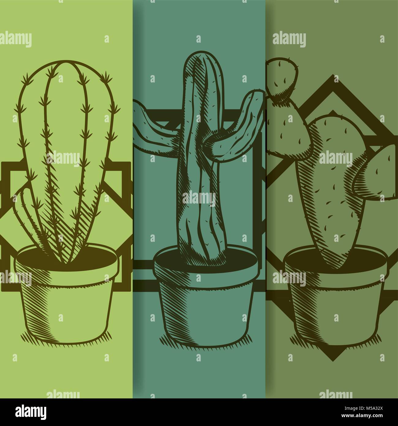 Cactus on pot hand drawing Stock Vector Image & Art Alamy