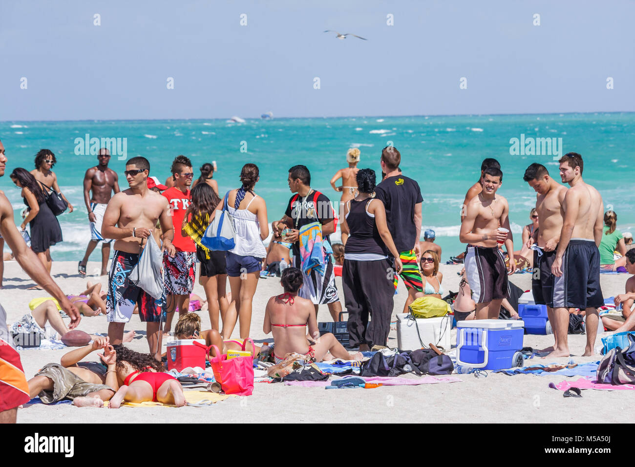 Miami Beach Florida,Atlantic Ocean water Spring Break,men,women,college