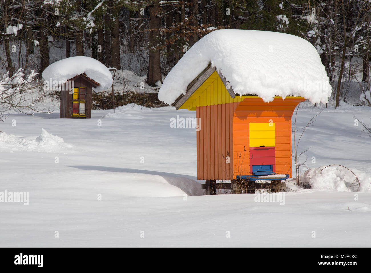 Bee hive in winter - beehive wood house covered with fresh snow, apiculture Stock Photo