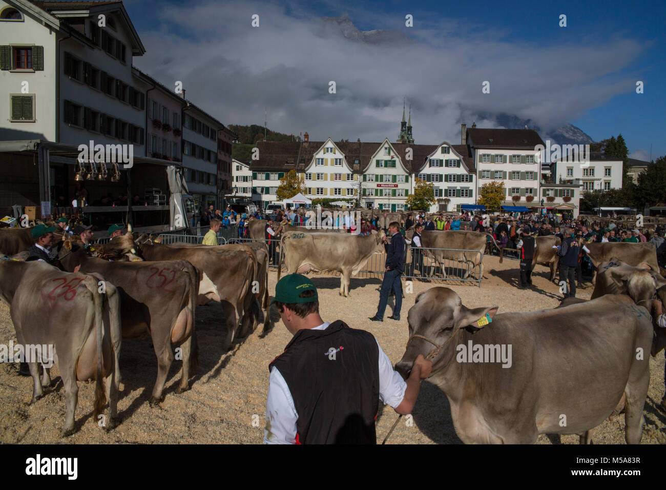 Viehschau in Glarus Stock Photo