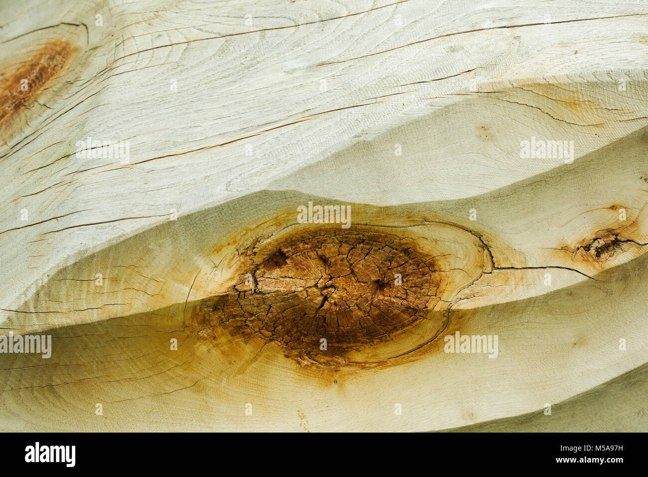 Close up of knothole in a piece of wood stripped of bark and smoothed. Stock Photo