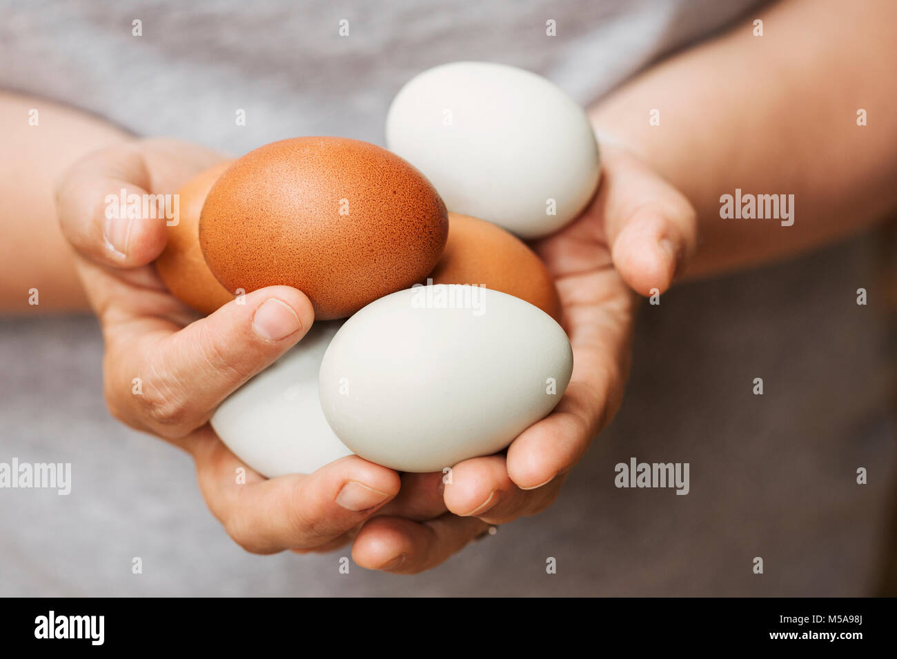 A woman holding hands full of fresh brown and white eggs. Stock Photo