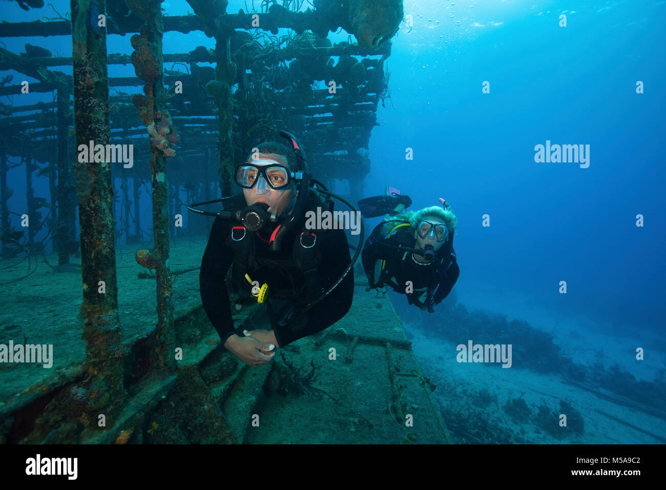 Two divers swimming along the remaining structure of a shipwreck. Stock Photo