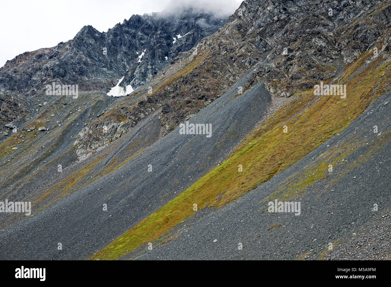 FROST ACTION ON THE ROCKY MOUNTAIN SLOPES HAS CREATED THESE CLASIC SCREES Stock Photo