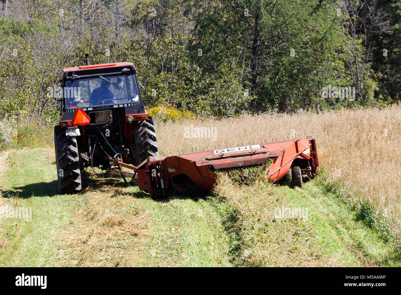 Quebec,Canada. Farm tractor cutting grain crop Stock Photo Alamy