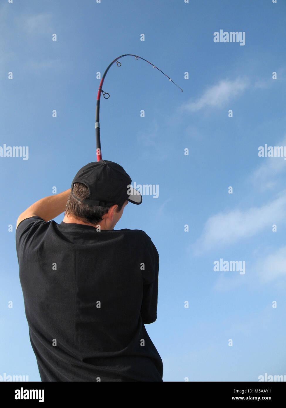 fishing scene, fish fight, angler fighting with a big fish. The rod is  bending Stock Photo - Alamy