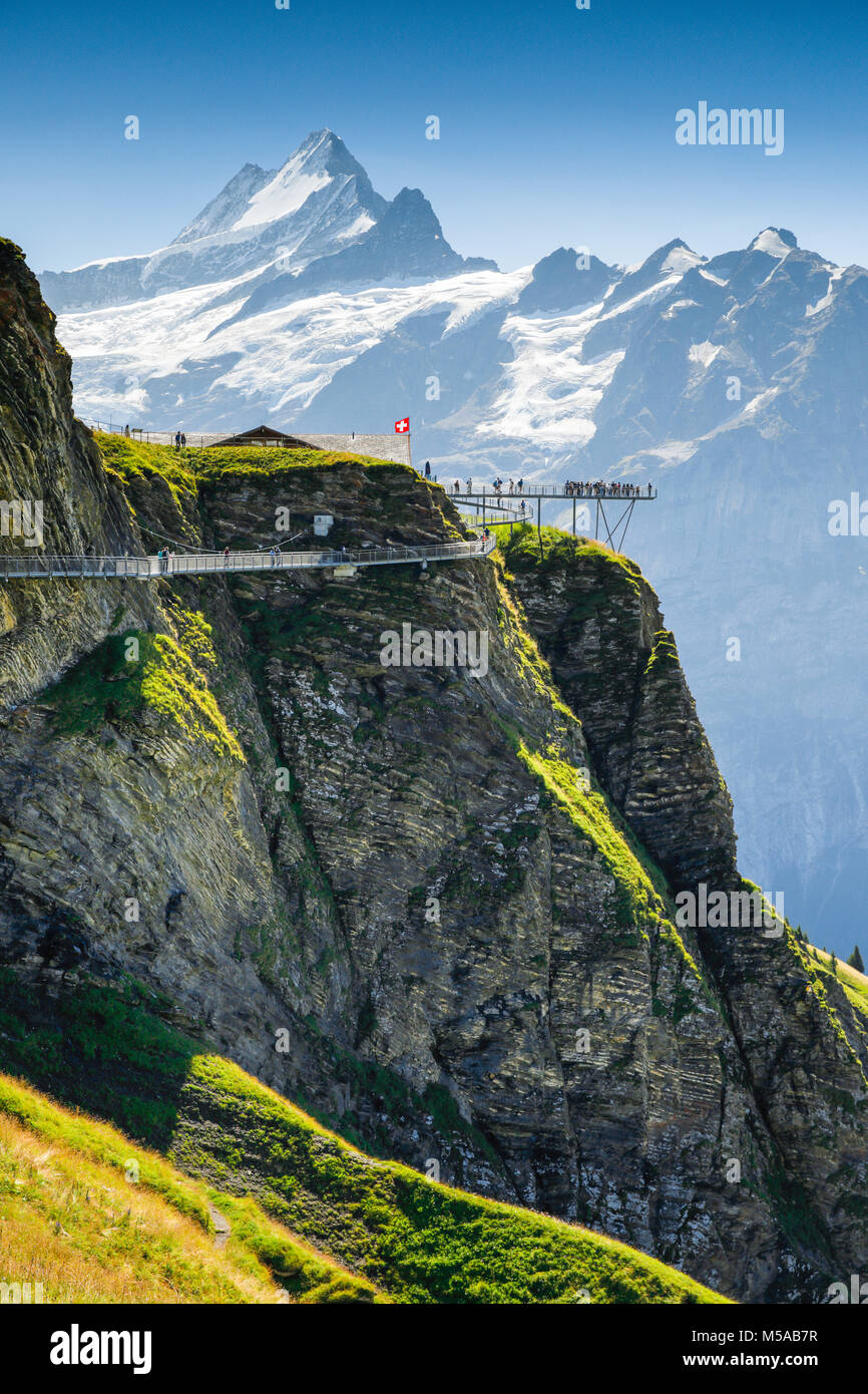 Schreckhorn 4078 m, First Cliff Walk, Schweiz Stock Photo Alamy