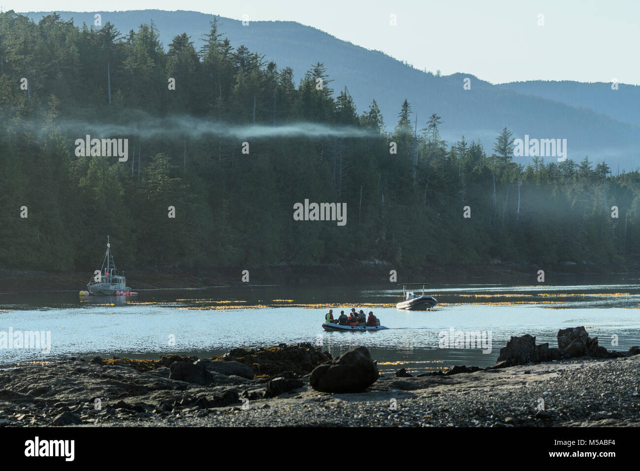 british columbia queen charlotte islands