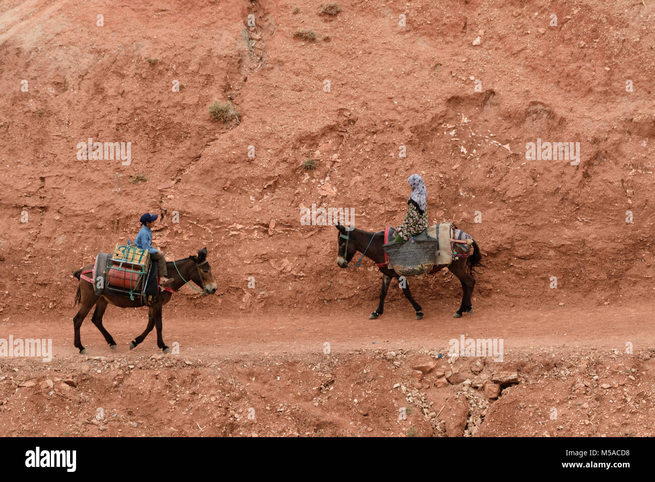 North Africa, Africa, African, Morocco, Moroccan, girl and boy on donkey Stock Photo