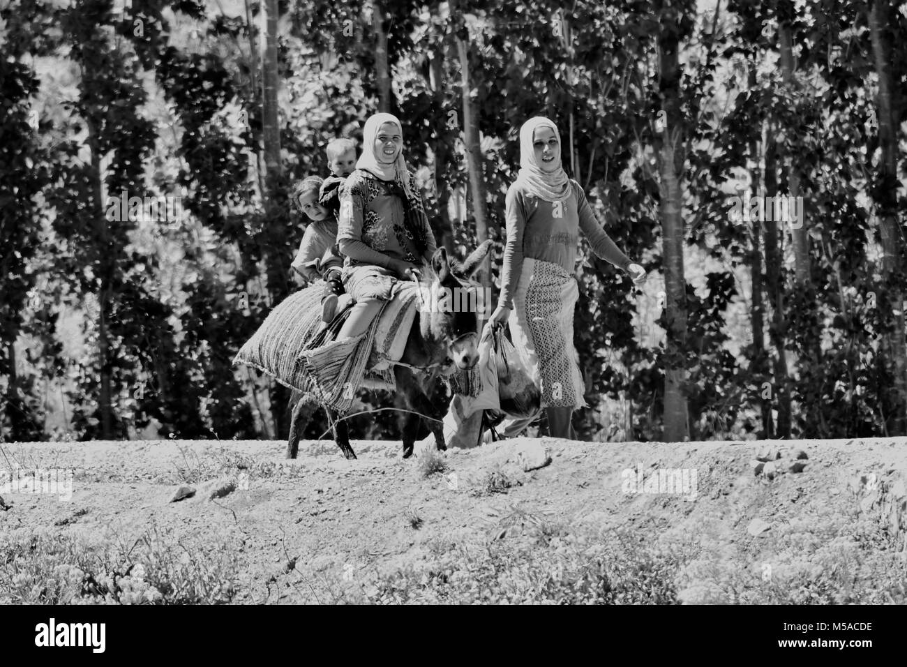 North Africa, Africa, African, Morocco, Moroccan, local women on donkey, North Africa, Africa, African Stock Photo
