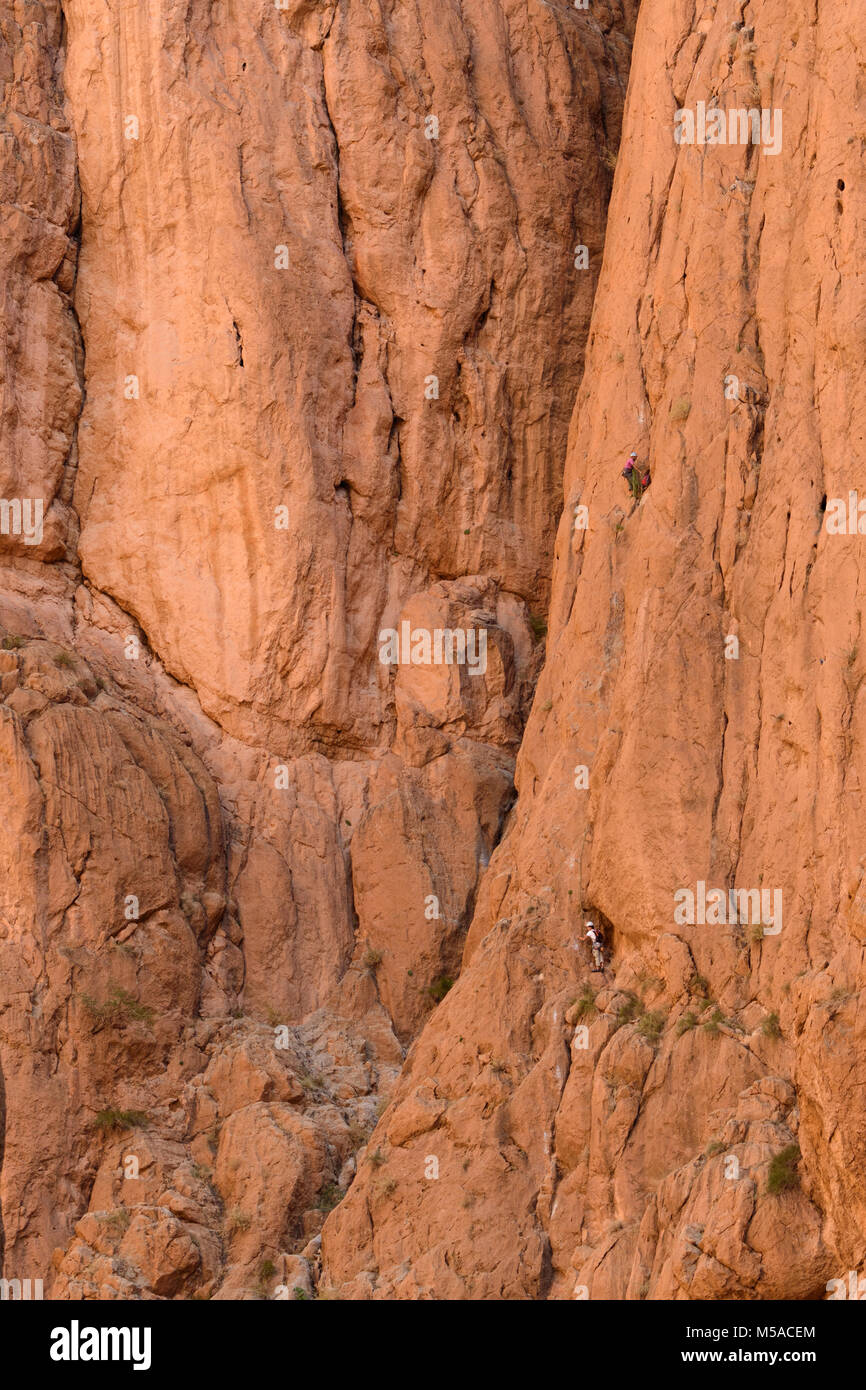 Morocco, Moroccan, rock climbing in the Todra North Africa