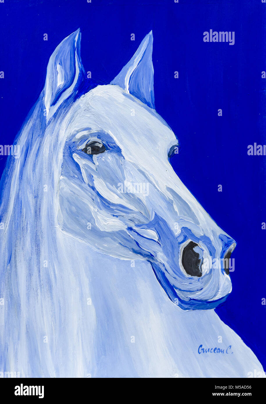Beautiful horse painting Stock Photo Alamy