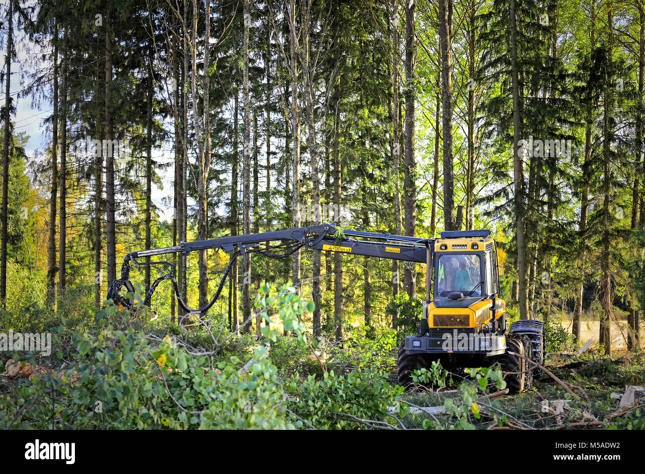 JOKIOINEN, FINLAND - SEPTEMBER 15, 2017: Forestry machine operator works in forest with Ponsse Ergo Harvester in early autumn. Stock Photo