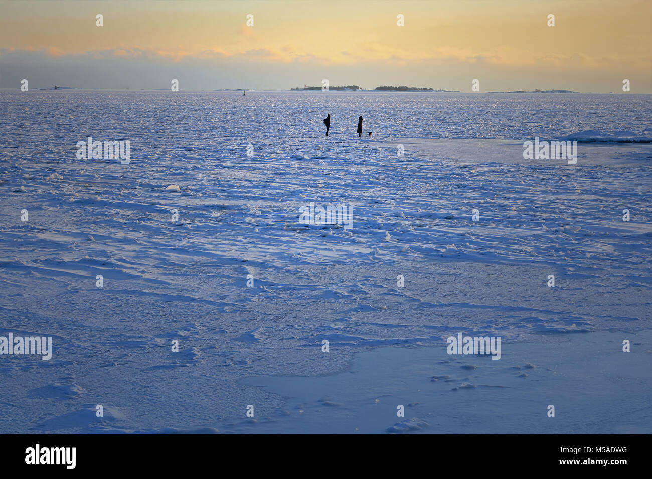 HELSINKI, FINLAND - FEBRUARY 21, 2018: Two people and a dog in silhouette walk on frozen sea near the shoreline in winter dusktime. Stock Photo