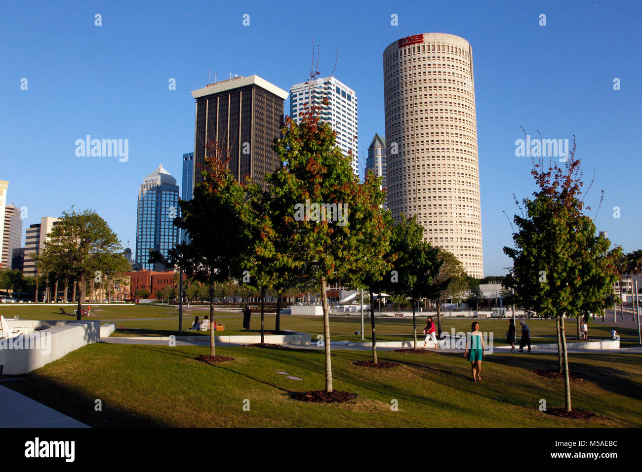 TAMPA, FLORIDA: Downtown Tampa landscape views from Curtis Hixon Park along Tampa's Riverwalk. Stock Photo