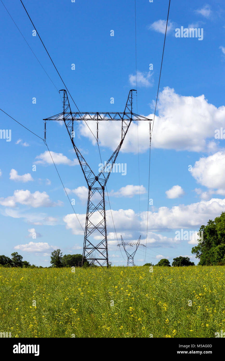 Power pylons and high voltage lines in the green grass field with blue ...