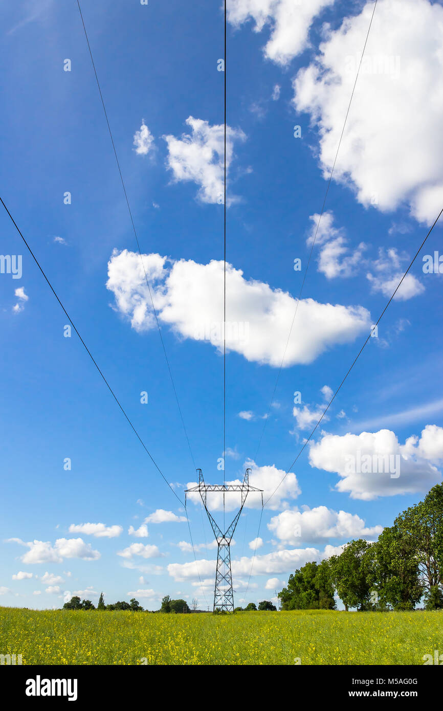 Power pylons and high voltage lines in the green grass field with blue ...