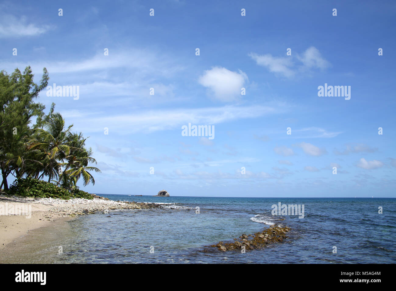 Beautiful tropical beach with palm trees, Gros Islet coastline, St Lucia, Caribbean. Stock Photo