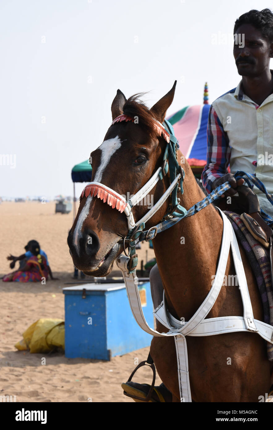 Joy riding horse on beach, Chennai, India Stock Photo