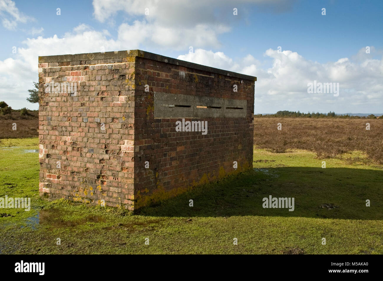 New Forest at War, remaining evidence of wartime defences and activity. Stock Photo