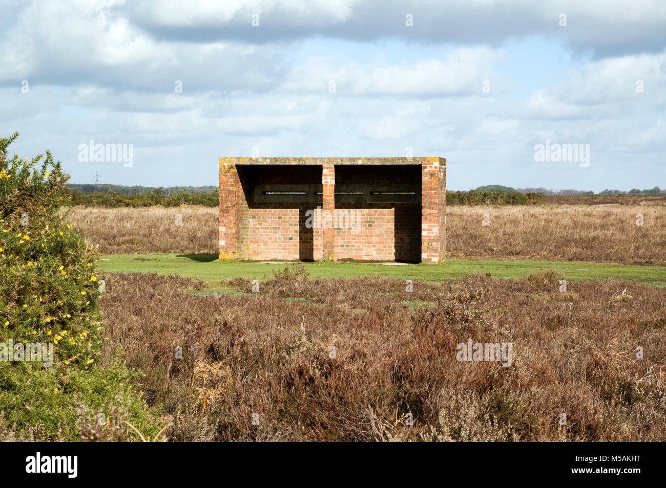 New Forest at War, remaining evidence of wartime defences and activity. Stock Photo