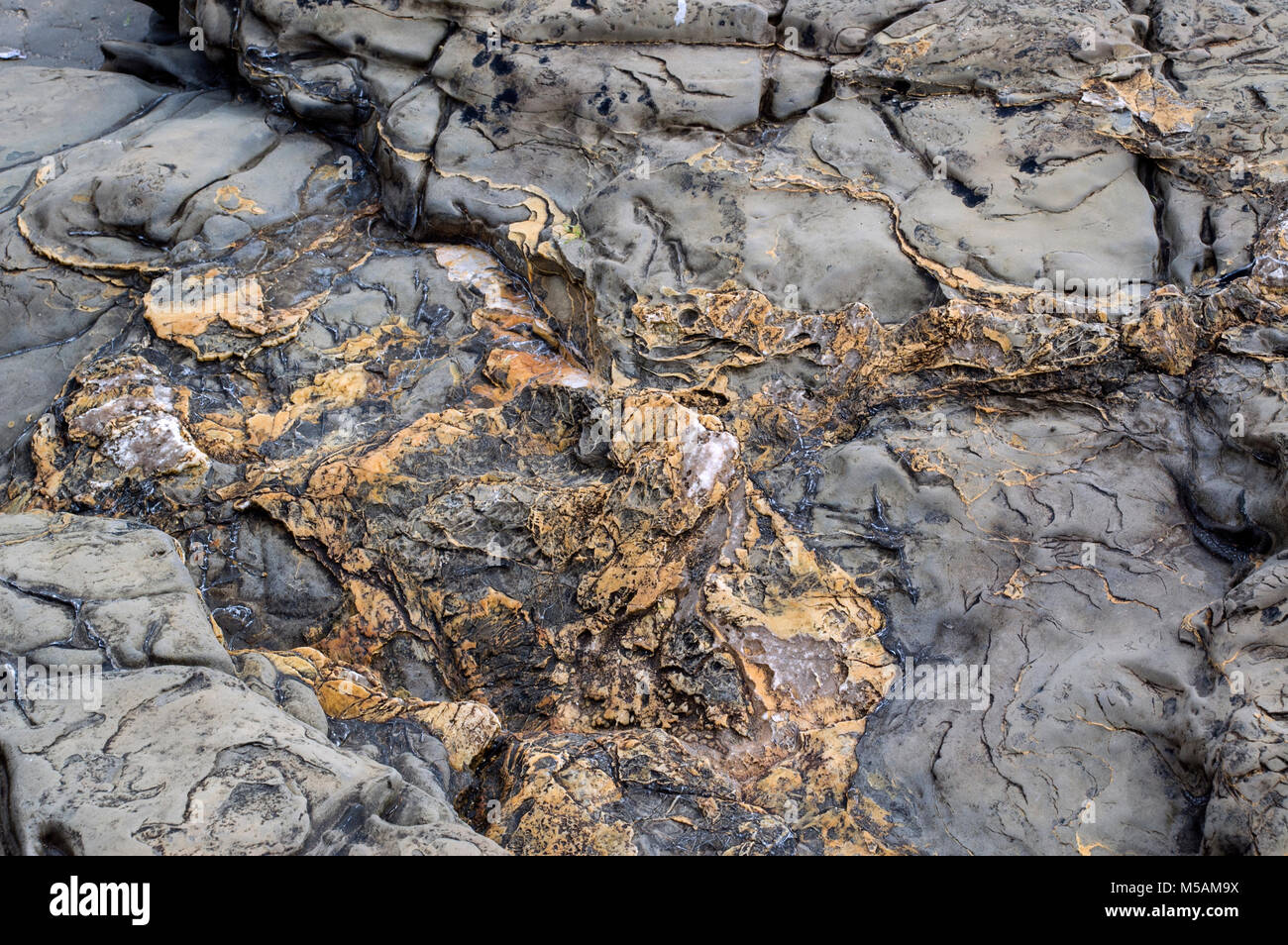 Natural patterns on the rocks in Kimmeridge Bay, Dorset. Stock Photo