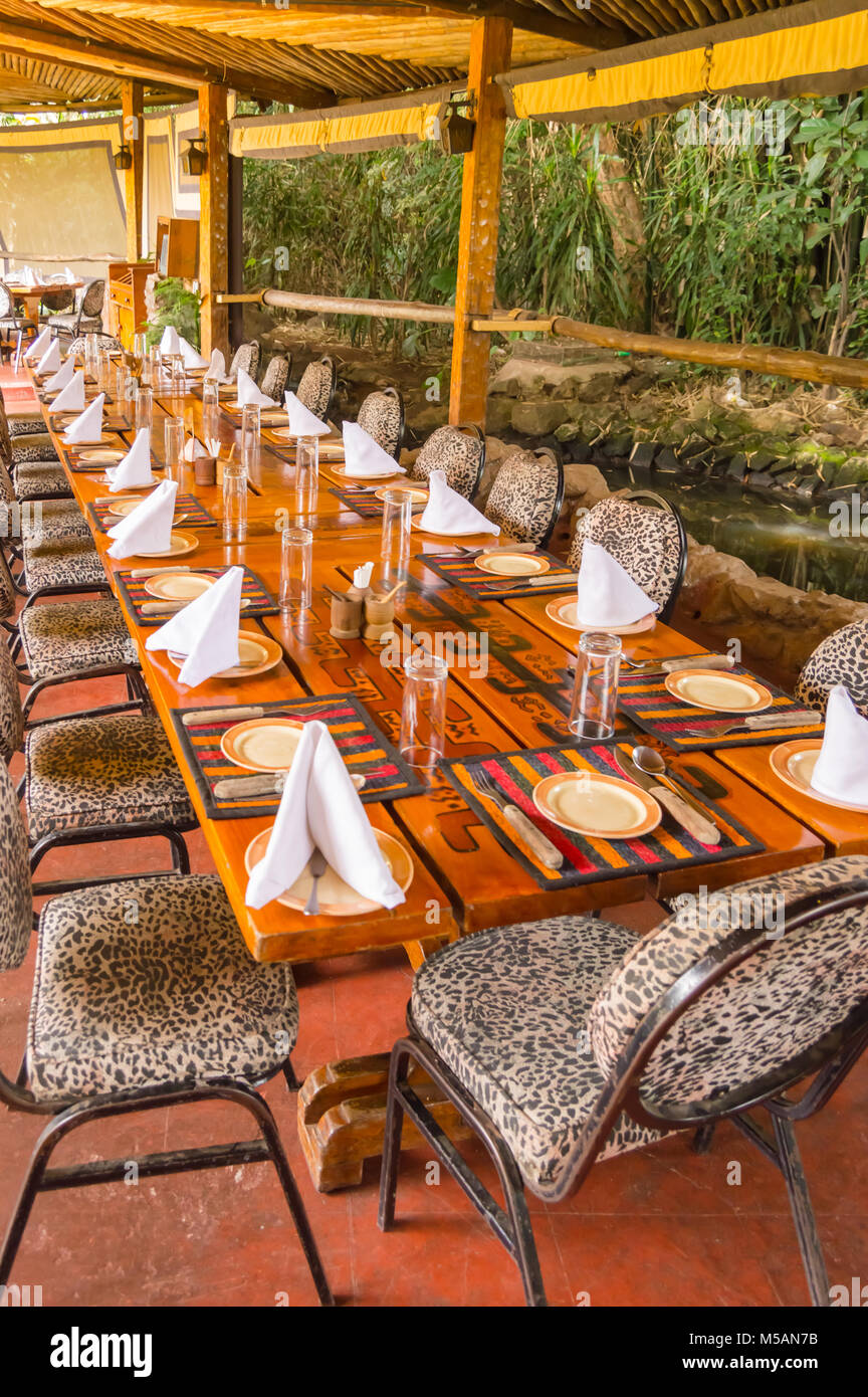 Table set on a junglecolored terrace in a tropical environment in a