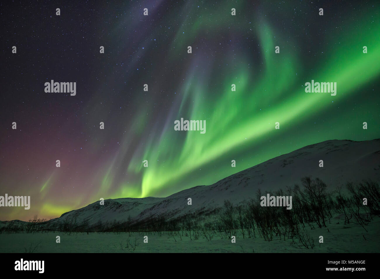 aurora-borealis-or-northern-lights-active-coloured-curtains-moving