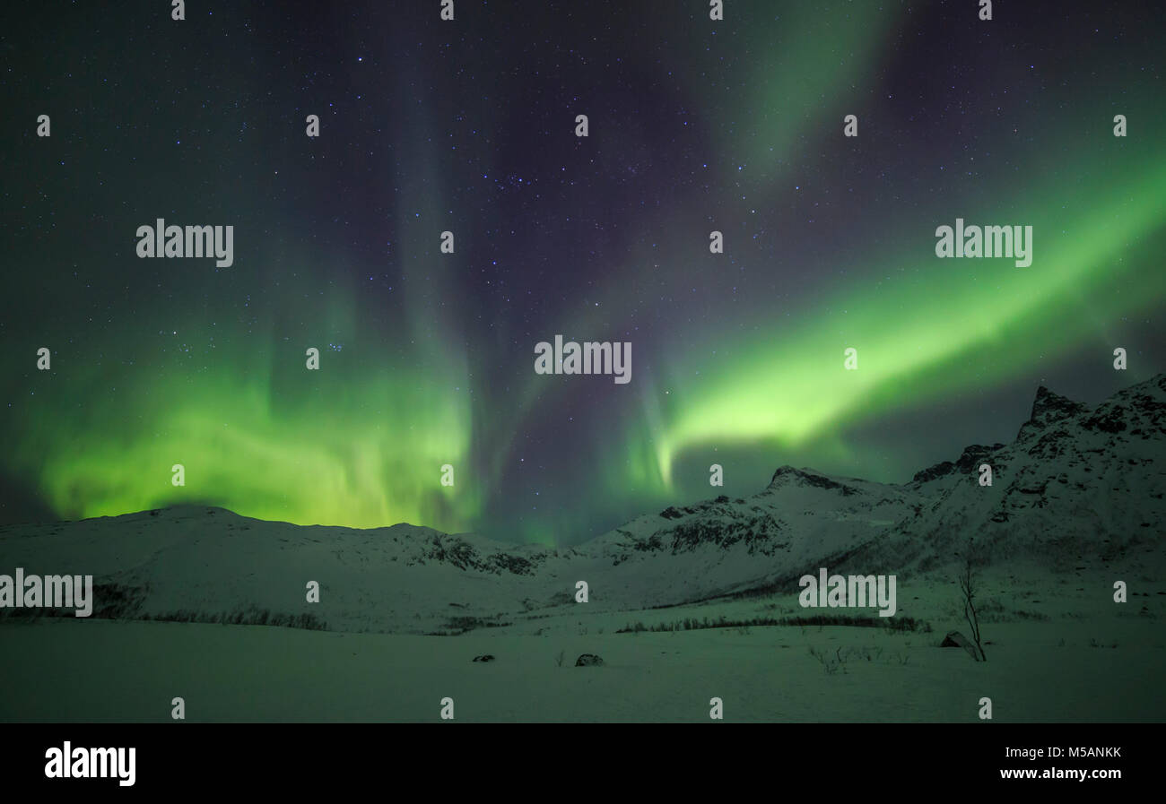 Aurora Borealis Or Northern Lights Active Coloured Curtains Moving aurora-borealis-or-northern-lights-active-coloured-curtains-moving