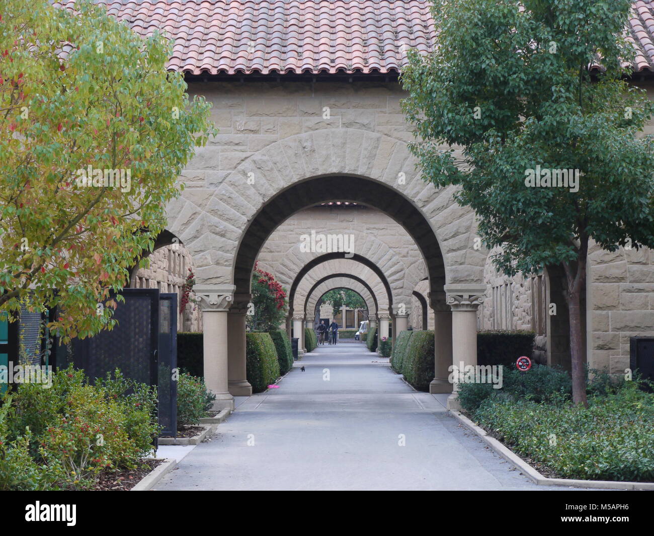 Stanford university campus during winter hollidays Stock Photo