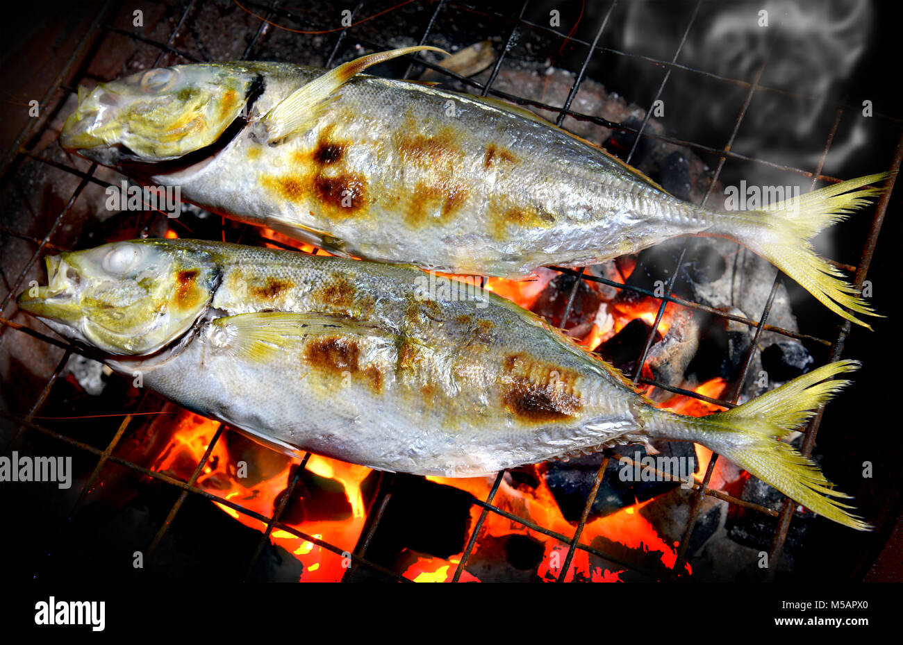 Indian mackerel fish grill on the charcoal cooking photo in flash
