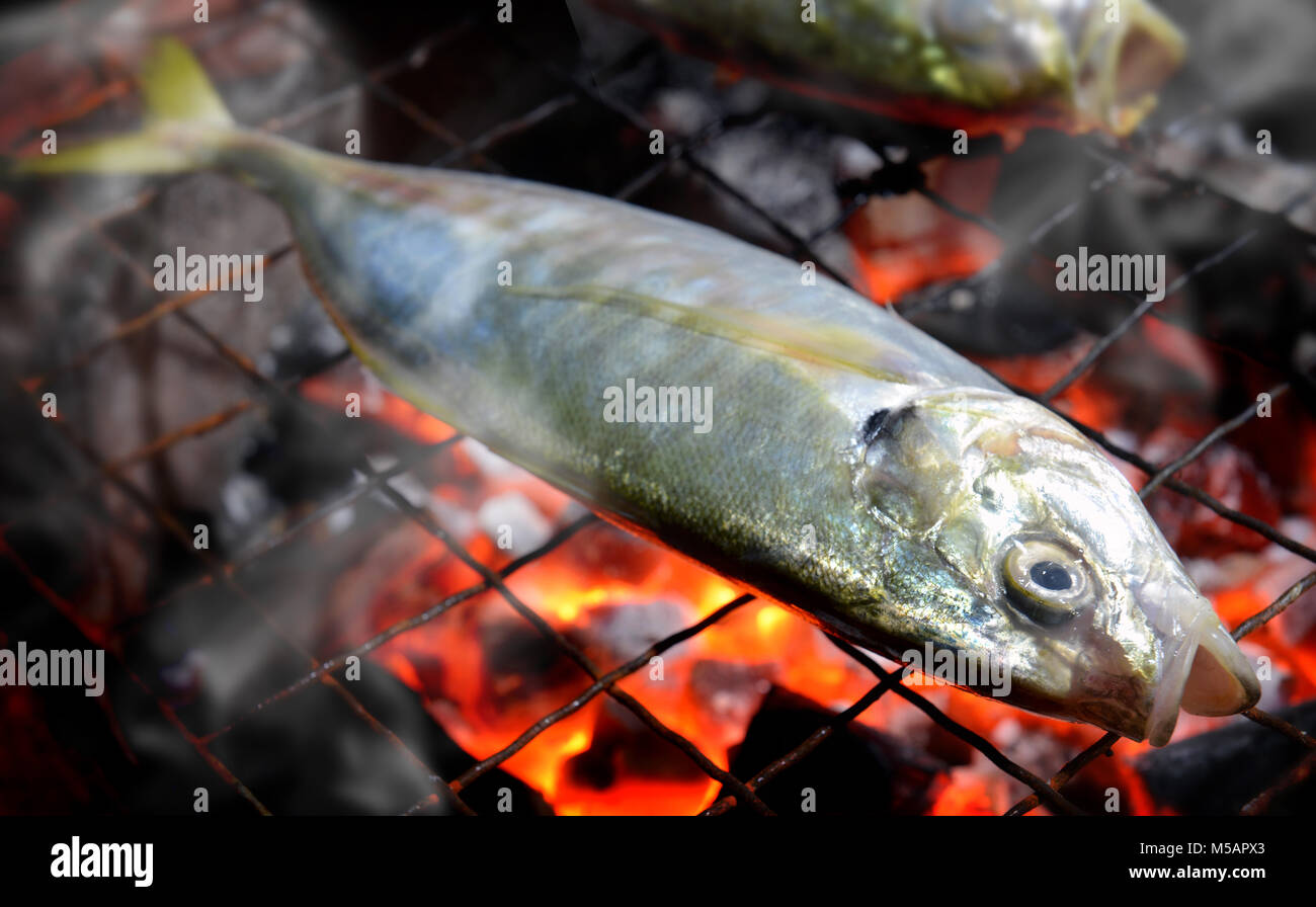 Indian mackerel fish grill on the charcoal cooking photo in flash