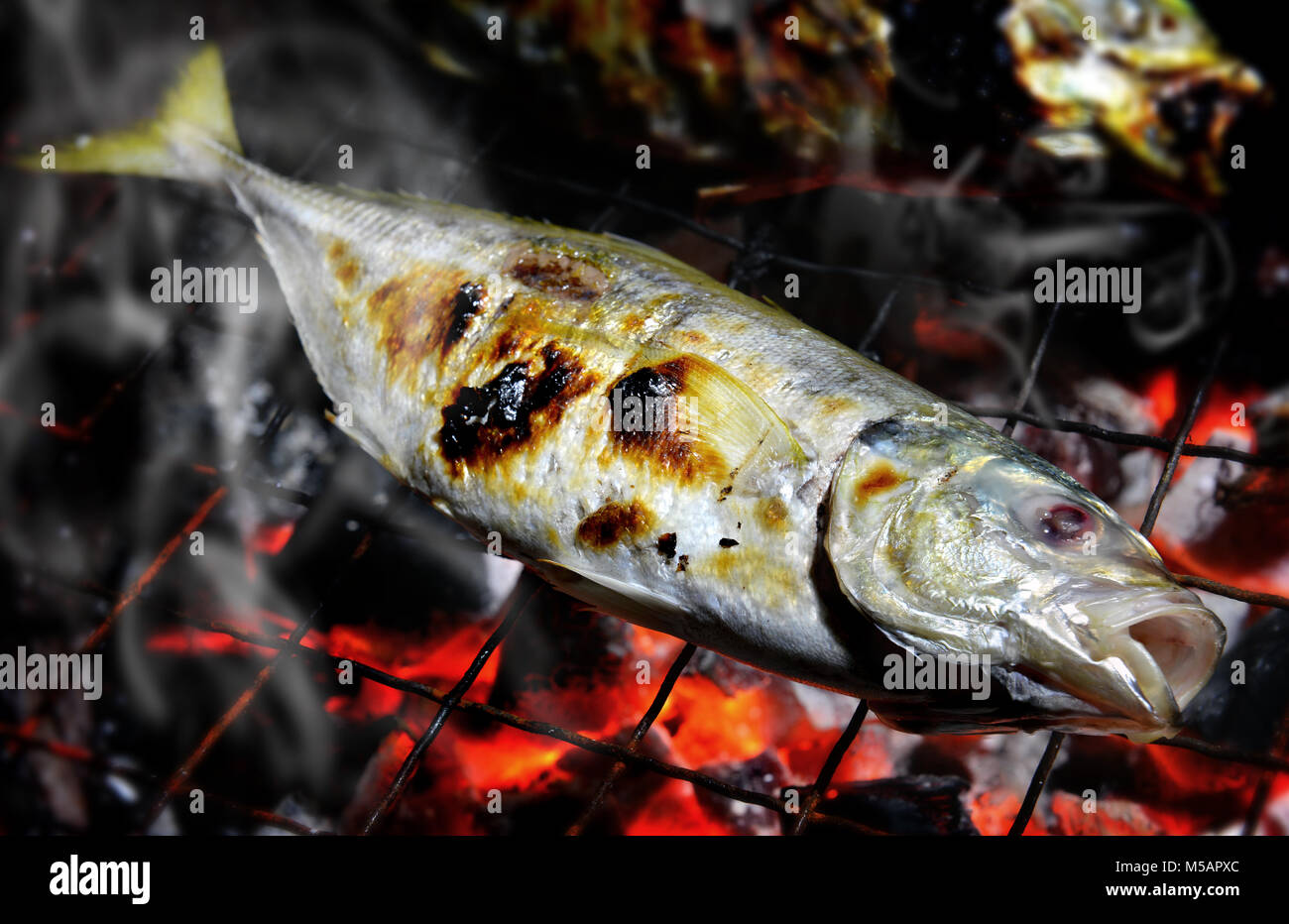 Indian mackerel fish grill on the charcoal cooking photo in flash