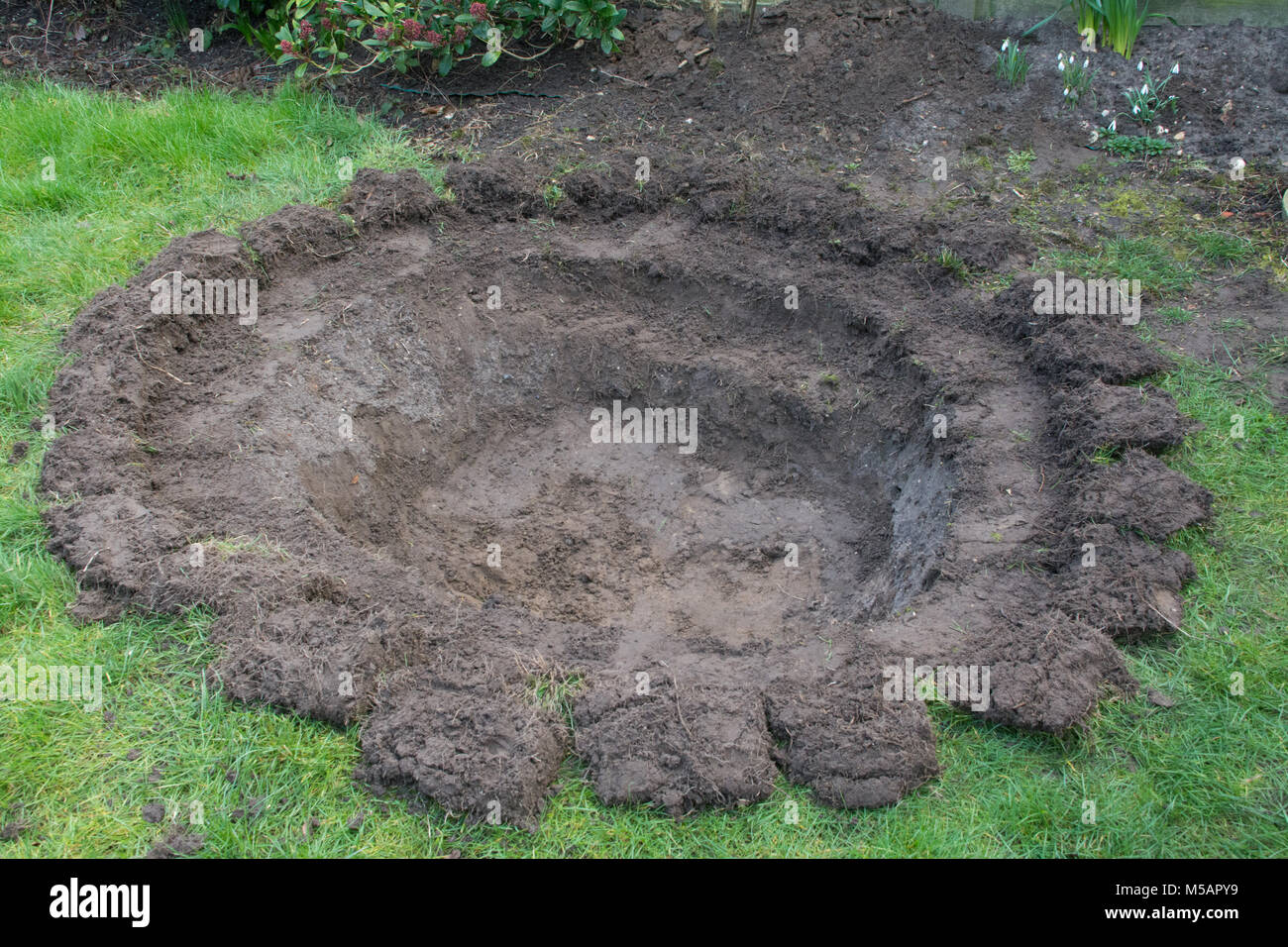 Creating and preparing a garden pond for wildlife. Step 1 of 4. Stock Photo